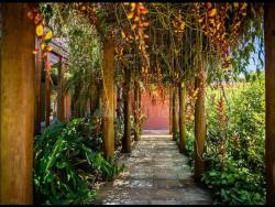 Casa em condomínio para Venda em São Sebastião - 5