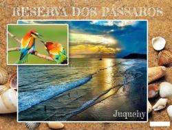 Casa em condomínio para Venda em São Sebastião - 3