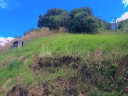Terreno para Venda em São Sebastião - 4