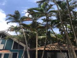 Sobrado para Venda em São Sebastião - 5