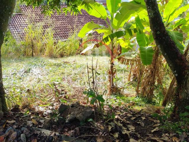 Área para Venda em São Sebastião - 5