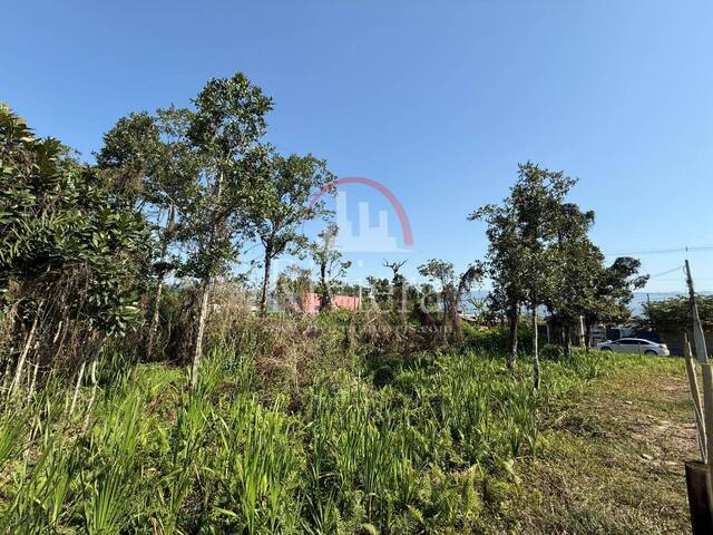 Área para Venda em Caraguatatuba - 5