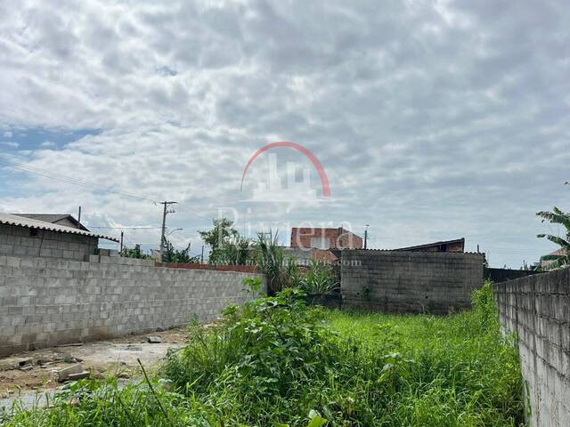 #V2200010 - Terreno para Venda em Caraguatatuba - SP - 3