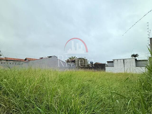 #V2200023 - Terreno para Venda em Caraguatatuba - SP - 3