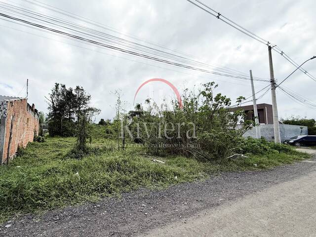 Terreno para Venda em Caraguatatuba - 4