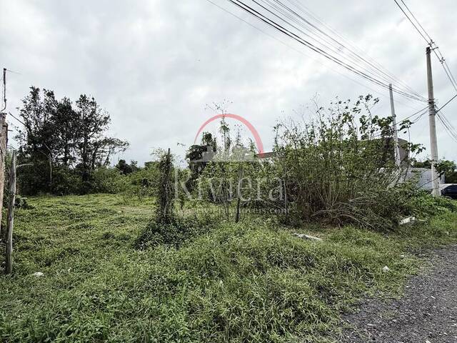 Terreno para Venda em Caraguatatuba - 5