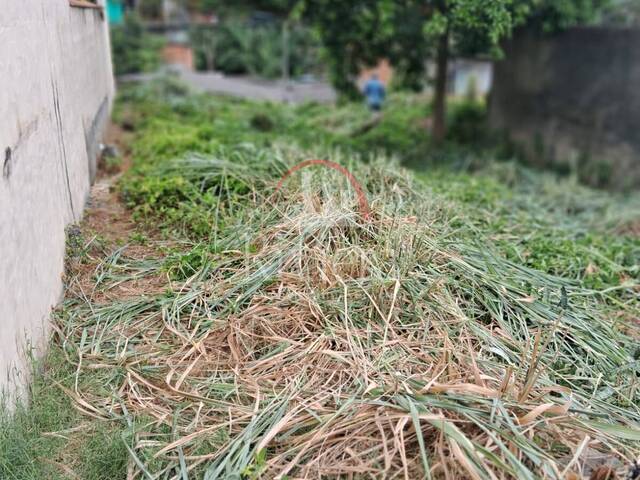 #V2000009 - Terreno para Venda em São Sebastião - SP - 1