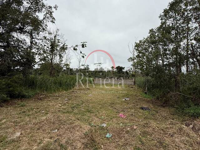 Terreno para Venda em Caraguatatuba - 5