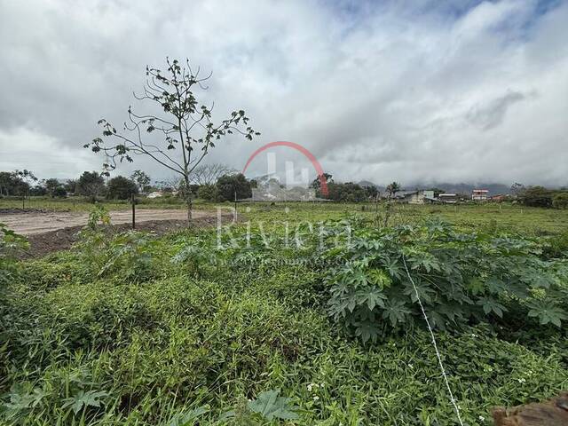#V2200050 - Área para Venda em Caraguatatuba - SP - 3