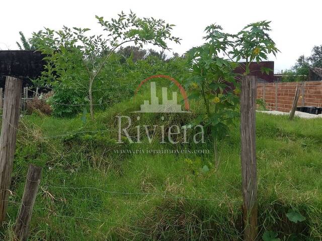 #V030158 - Terreno para Venda em São Sebastião - SP - 1