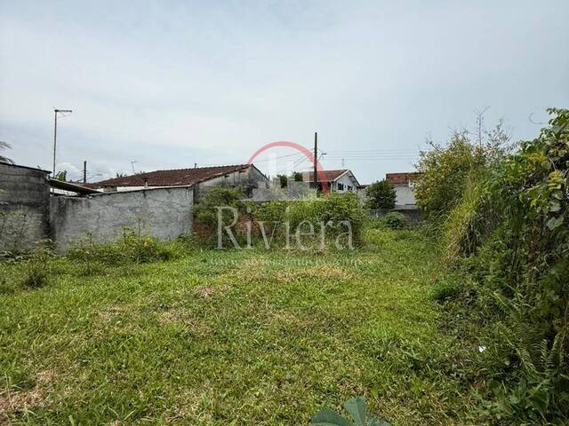Terreno para Venda em Caraguatatuba - 4
