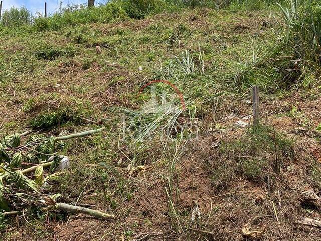 #V0300126 - Área para Venda em São Sebastião - SP - 2