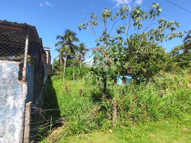 #V2300003 - Terreno para Venda em São Sebastião - SP - 2