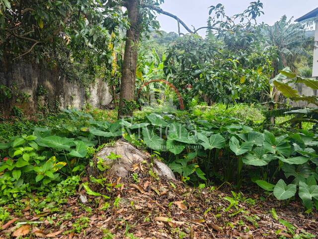 #V0300118 - Terreno em condomínio para Venda em São Sebastião - SP - 1