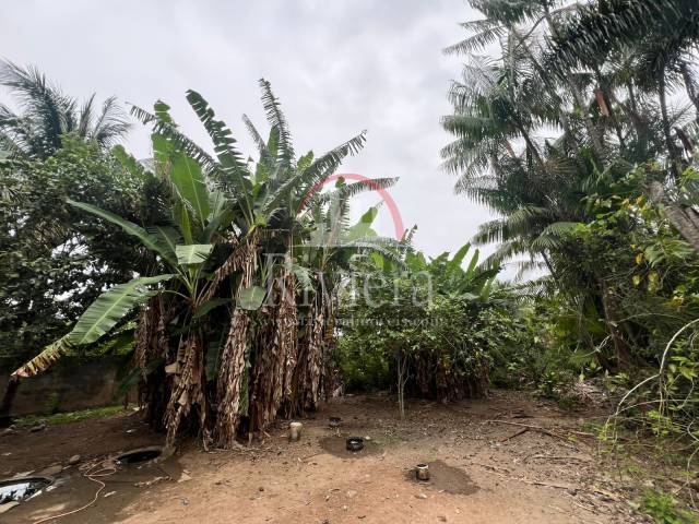 Terreno para Venda em Caraguatatuba - 3