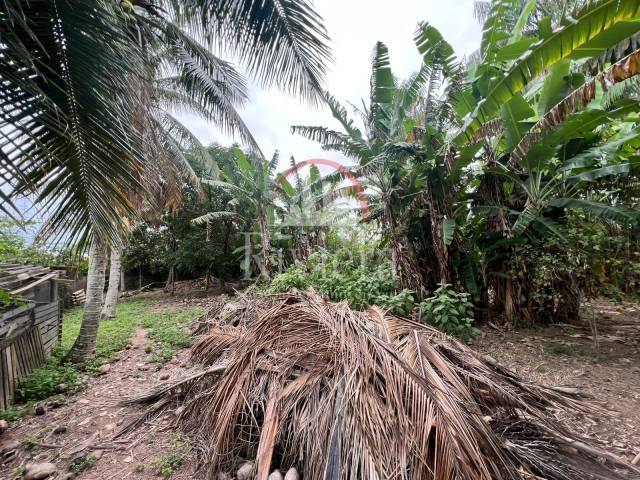 Terreno para Venda em Caraguatatuba - 5