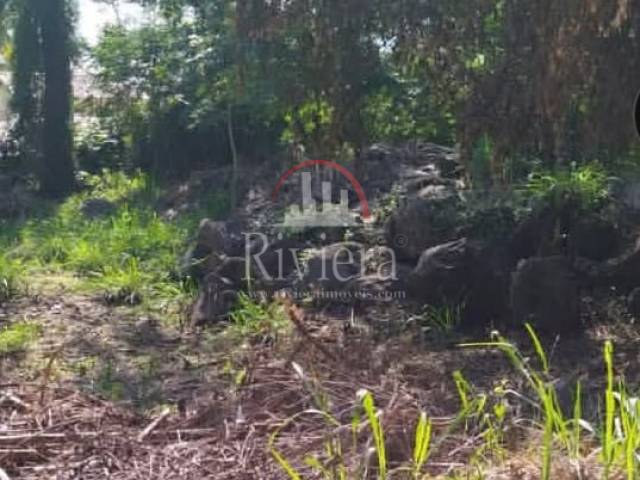 #V0300128 - Terreno para Venda em Ilhabela - SP - 1