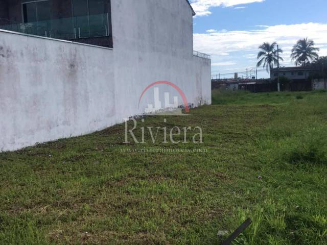 #V2300080 - Terreno para Venda em Caraguatatuba - SP - 2