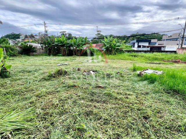 #V2500079 - Área para Venda em Caraguatatuba - SP - 1