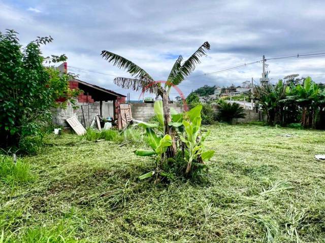#V2500080 - Área para Venda em Caraguatatuba - SP - 1