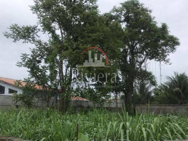 #V2300081 - Terreno para Venda em Caraguatatuba - SP - 3