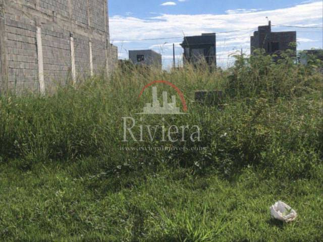 #V2300082 - Terreno para Venda em Caraguatatuba - SP - 3