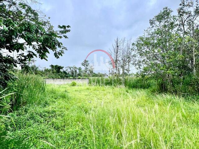 #V2500123 - Terreno para Venda em Caraguatatuba - SP - 2