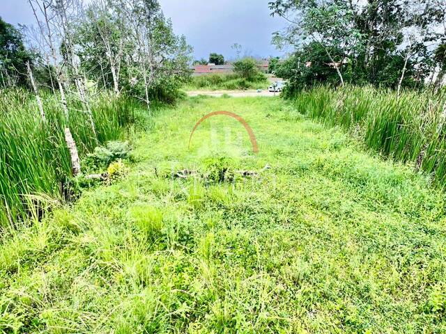 #V2500123 - Terreno para Venda em Caraguatatuba - SP - 3