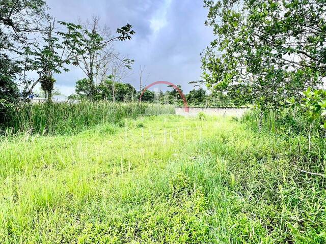 Terreno para Venda em Caraguatatuba - 4