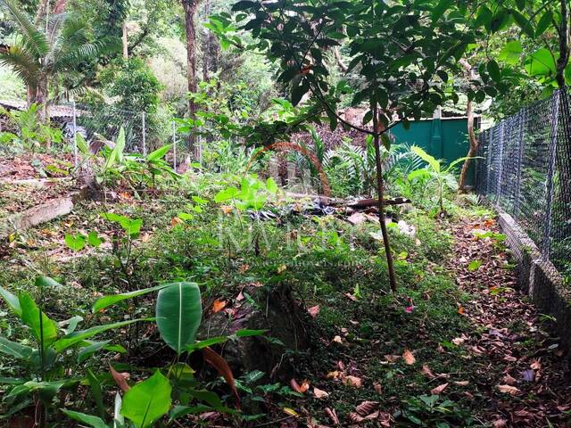 #V2100026 - Terreno para Venda em São Sebastião - SP - 2