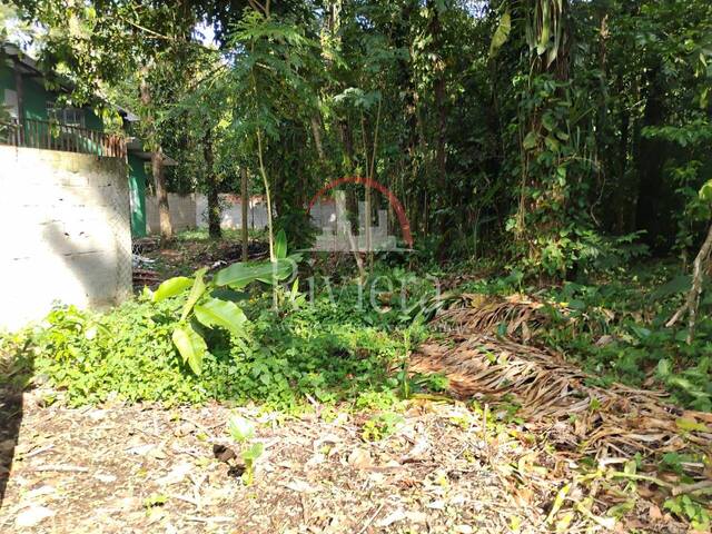 Terreno para Venda em São Sebastião - 4