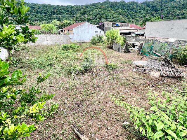 Área para Venda em Caraguatatuba - 2