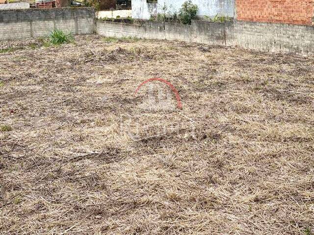 Terreno para Venda em Caraguatatuba - 4