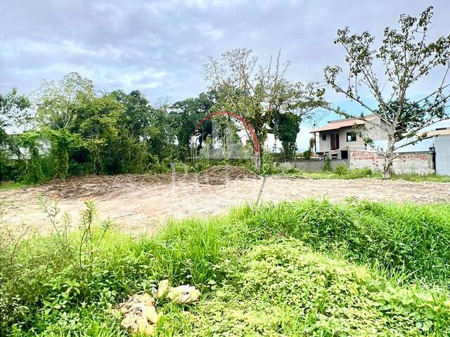 Terreno para Venda em Caraguatatuba - 4