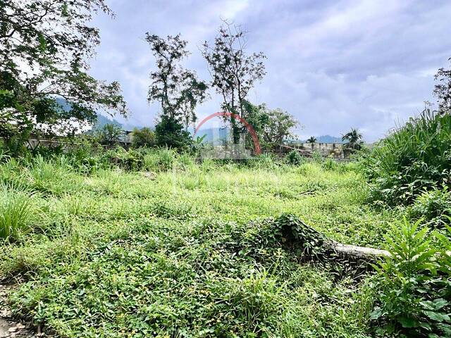 Terreno para Venda em Caraguatatuba - 2