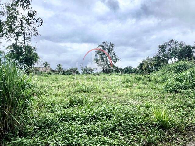 Terreno para Venda em Caraguatatuba - 4