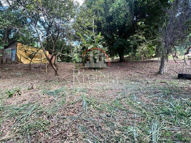 Área para Venda em São Sebastião - 4