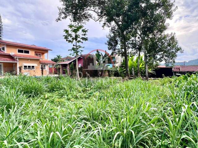 #V2500269 - Área para Venda em Caraguatatuba - SP - 2