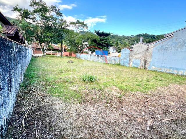 #V2500273 - Área para Venda em Caraguatatuba - SP - 3
