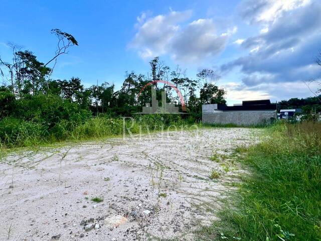 #V2500274 - Área para Venda em Caraguatatuba - SP - 2