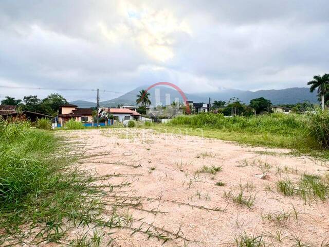 #V2500279 - Terreno para Venda em Caraguatatuba - SP - 2