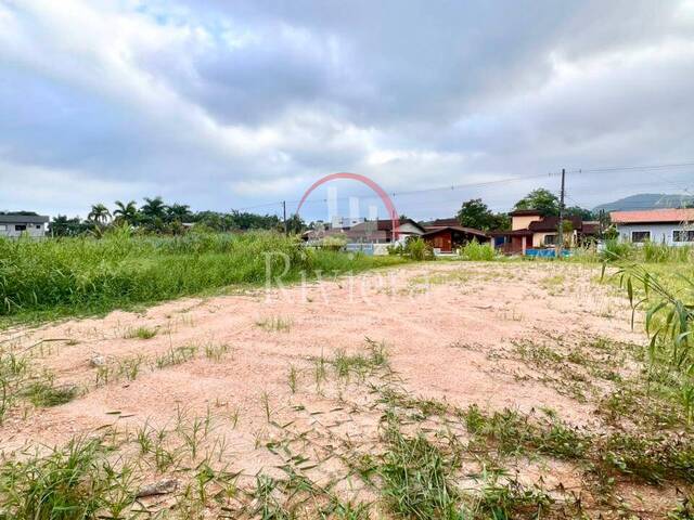 Terreno para Venda em Caraguatatuba - 5