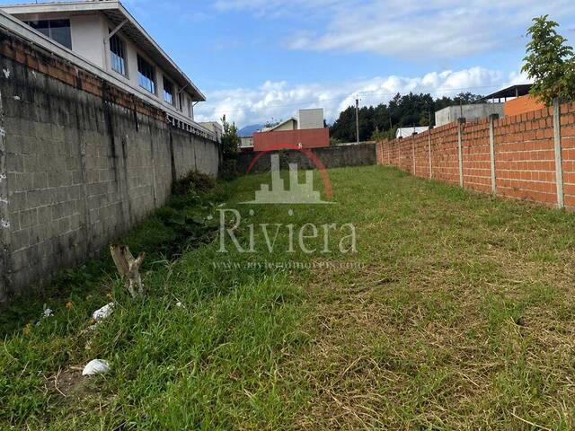 Área para Venda em Caraguatatuba - 3