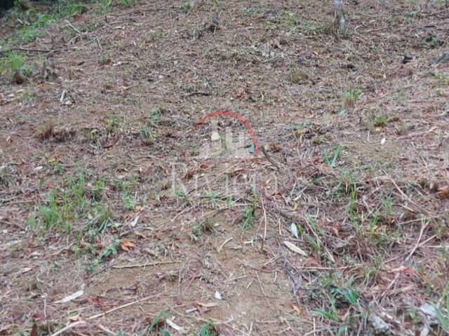 Área para Venda em Ubatuba - 3