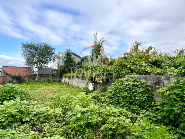 Área para Venda em Caraguatatuba - 3
