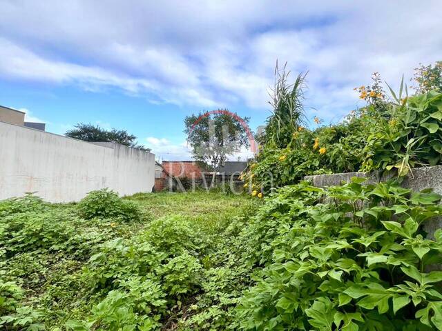 Área para Venda em Caraguatatuba - 2