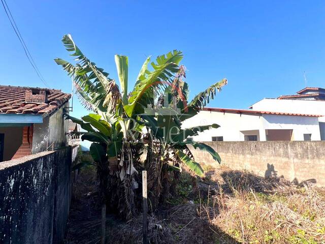 Área para Venda em Caraguatatuba - 3