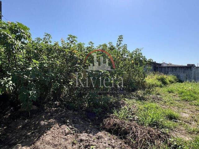 Área para Venda em Caraguatatuba - 4