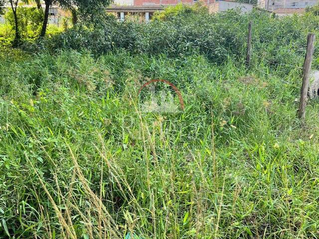 Área para Venda em Caraguatatuba - 2