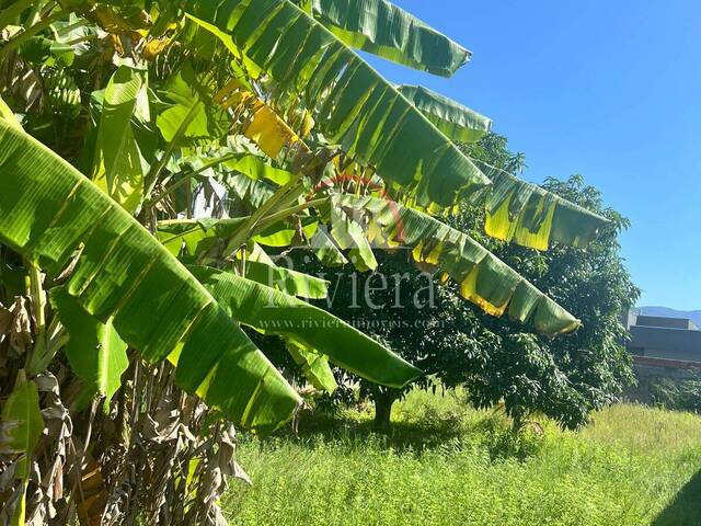 Área para Venda em Caraguatatuba - 2